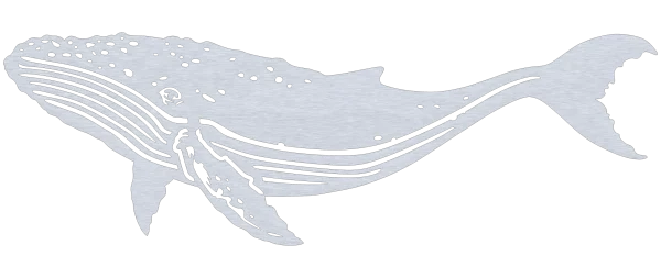 Aluminum cut-out of a humpback whale featuring detailed skin, ridged underbelly, and distinct flippers. The whale curves with a detailed tail fin, silver metal brushed finish on a black background.